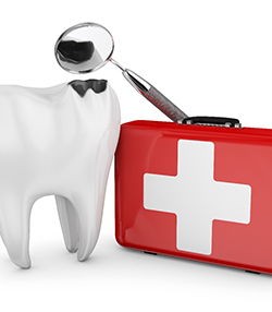 Marshall emergency dentist kit and tool beside model broken tooth