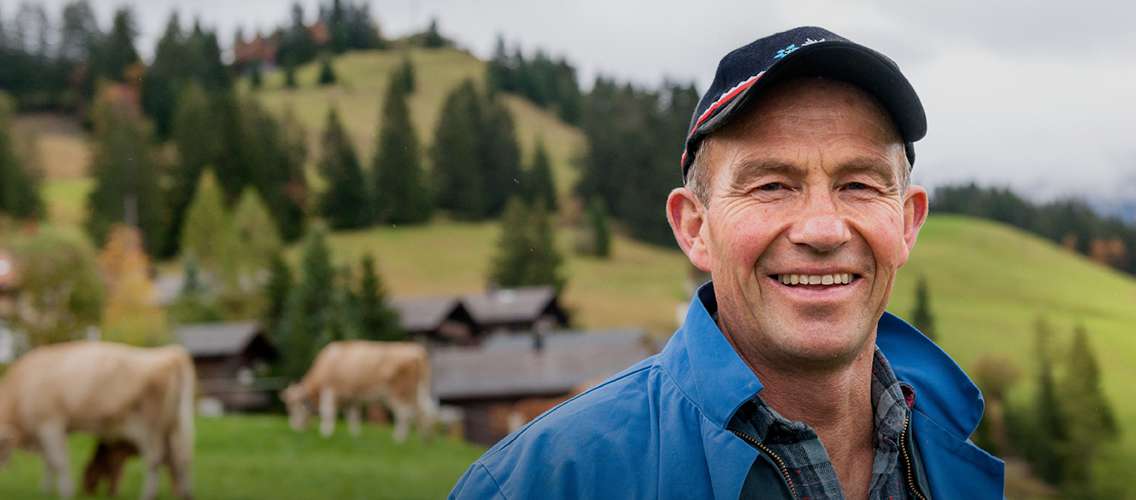man smiling in field with cows